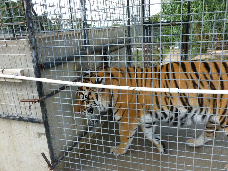 Eureka Springs 2013 065